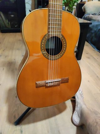 Guitarra clásica L. Arostegui | Savarez nuevas