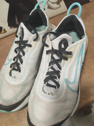 Nike Air Max 2090