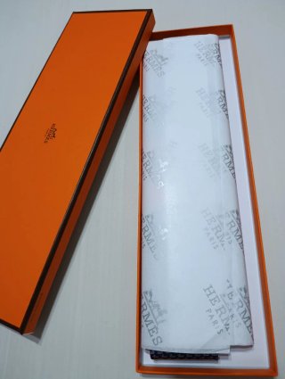 Corbata Hermès Azul Patos