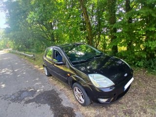 Ford Fiesta 2004