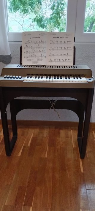 Órgano Eléctrico Magnum Vintage