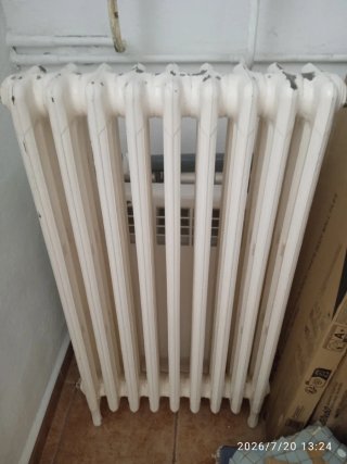 Radiador de hierro fundido blanco