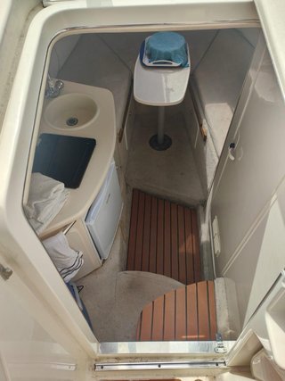 Barco Sea Ray AVERIA MOTOR