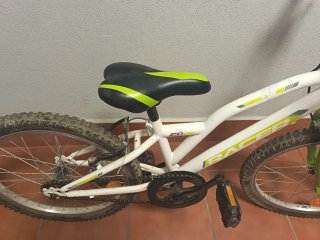 Bicicleta Infantil 20 Racer