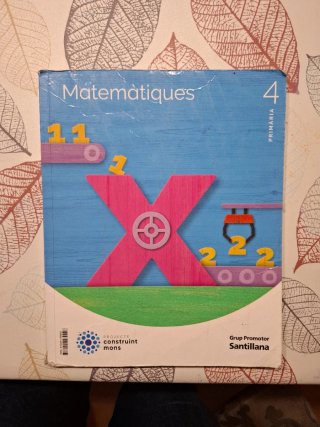 Matemàtiques, 4 Primària, Projecte Construint mons
