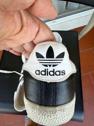 Zapatos de tacón Primadonna i varios modelos difer