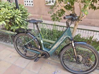 Bicicleta Eléctrica Trek