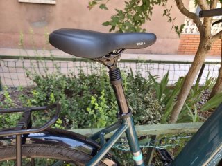 Bicicleta Eléctrica Trek