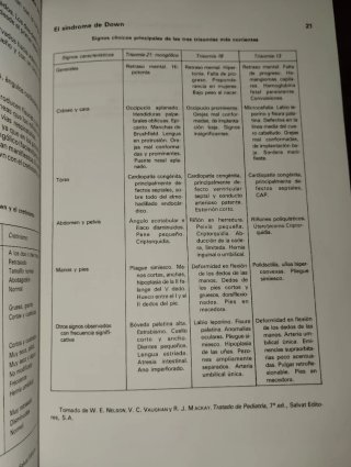 Educacion Fisica y Los Disminuidospsiquicos