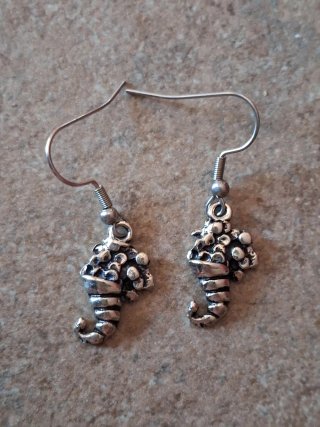 Set orecchini donna argento