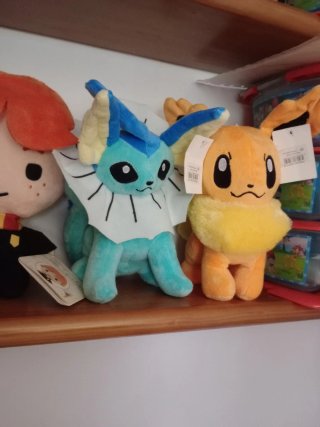 Pokémon peluches etiqueta