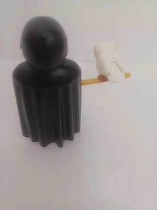Playmobil Harry Potter con Hedwig
