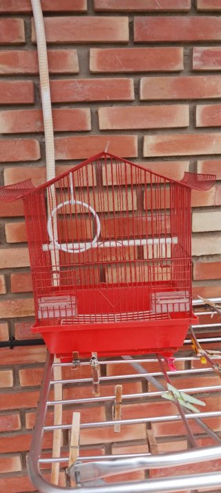 Jaula para pájaros roja