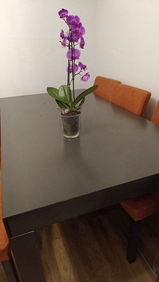 Mesa Comedor Negra con 4 Sillas Naranja