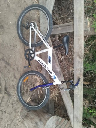 Bicicleta Paseo Blanco/Azul Metálico para niños