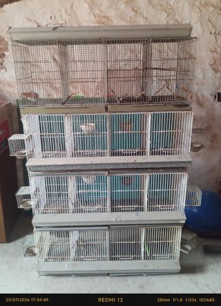 Jaulas de cría para pájaros