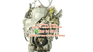 Cabap22836892 motor completo yd22ddt n Ref:6082813