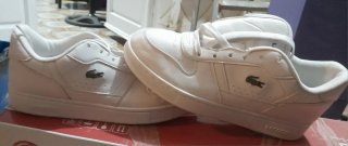 Zapatos Lacoste