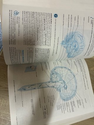 Libro de Anatomia y fisiología.