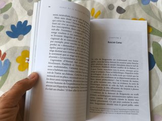 Tintin. Hergé o el retorno del indio. Nuevo