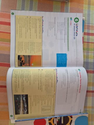 Lingua galega e literatura, ESO 1