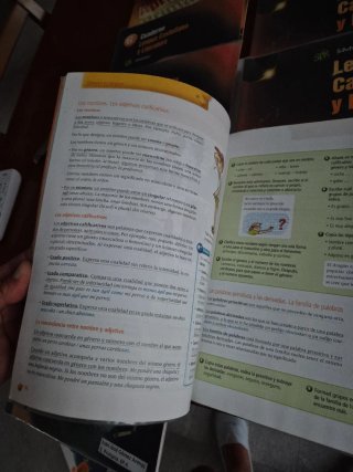 Lengua castellana y literatura 6 Primaria