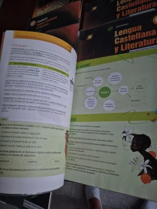 Lengua castellana y literatura 6 Primaria