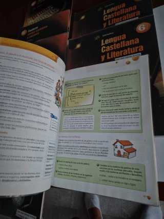 Lengua castellana y literatura 6 Primaria