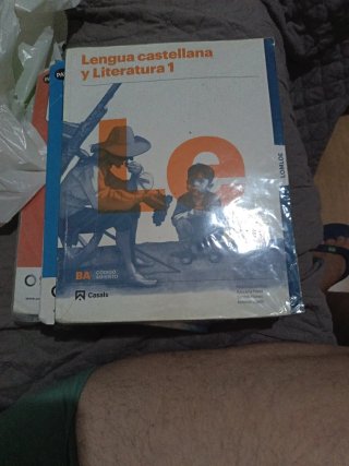 Lengua castellana y literatura 1, Le Bachillerato