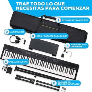 Teclado Alesis 88 Teclas con Accesorios