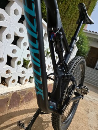 Specialized Stumpjumper 29