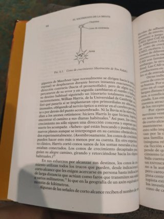 El Nacimiento de la mente como un número pequeñ...