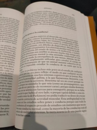 El Nacimiento de la mente como un número pequeñ...