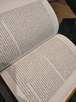El Nacimiento de la mente como un número pequeñ...