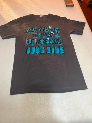 Lote 2 Camisetas Nike y jerzees Talla S