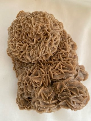 Rosa del Deserto Naturale da Collezione