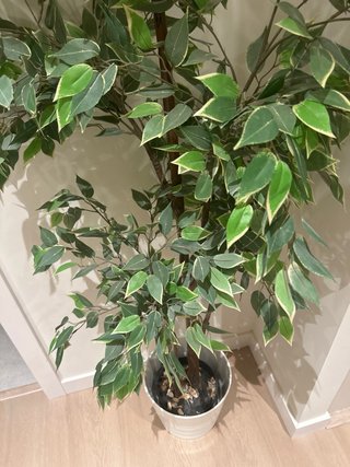 Planta artificial decorativa IKEA FEJKA