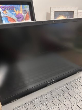 ASUS Vivobook X420U Plata
