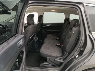 Ford S Max 2.0 TDCi Panther 110kW Titanium Pow