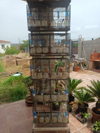 Jaulas para pájaros con soporte Recoger en persona