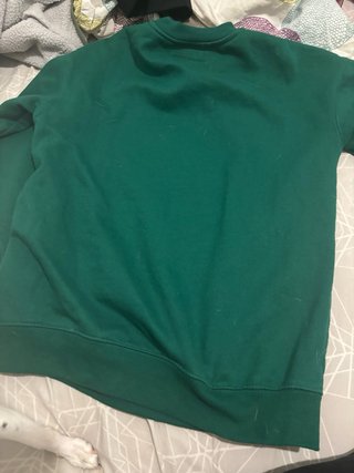 Sudadera Snoopy Verde Speed Beagle