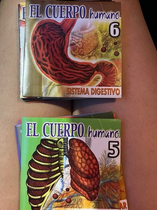 DVD El Cuerpo Humano - Bodyworks 4.0.