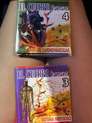 DVD El Cuerpo Humano - Bodyworks 4.0.