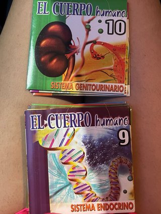 DVD El Cuerpo Humano - Bodyworks 4.0.