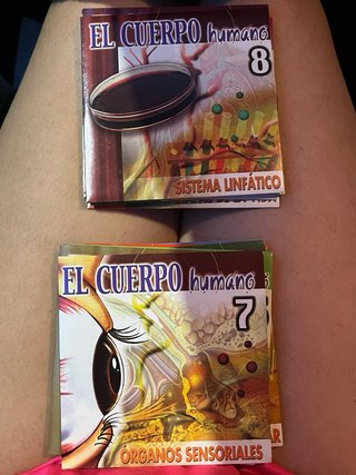 DVD El Cuerpo Humano - Bodyworks 4.0.