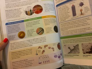 Biología, Geología y Ciencias Ambientales 1 Bac...