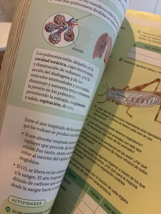 Biología, Geología y Ciencias Ambientales 1 Bac...