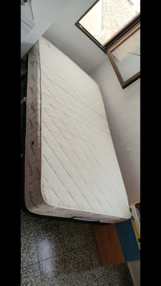 Cama hospitalaria con motor