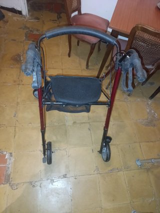 Andador con asiento y cesta