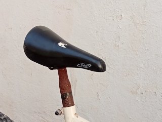 Bicicleta de Montaña
